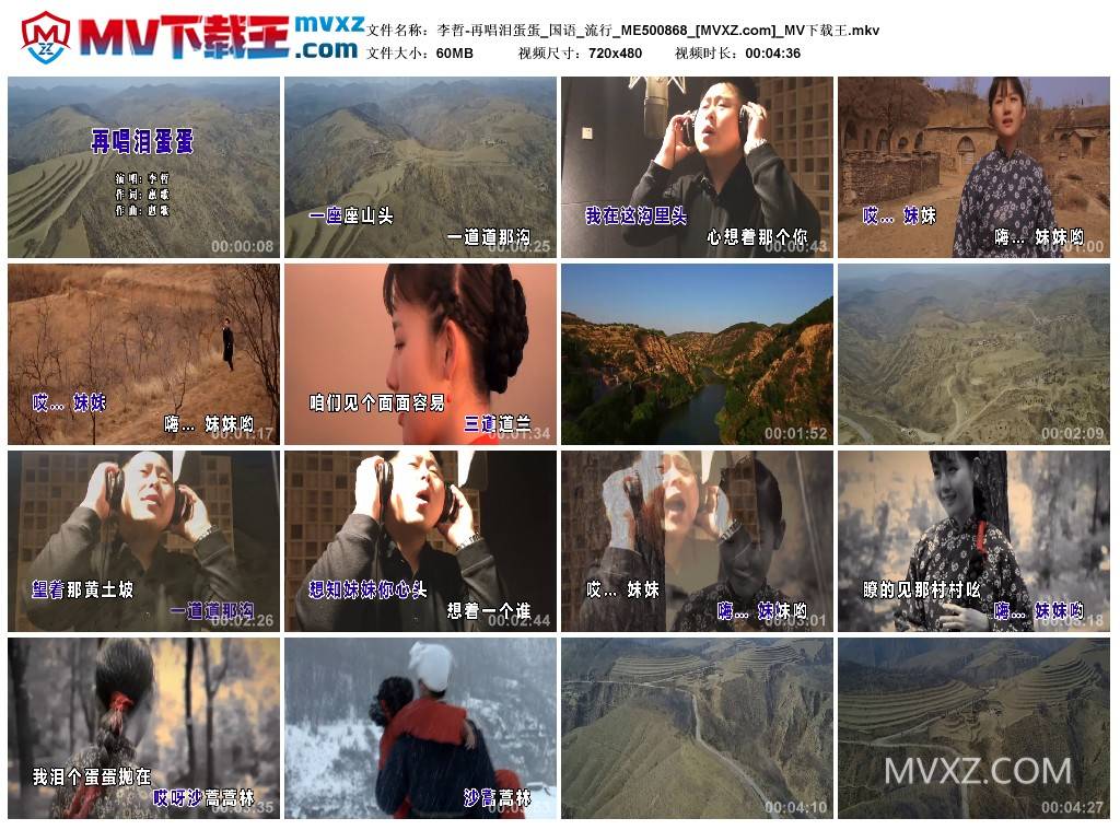 李哲-再唱泪蛋蛋_国语_流行_ME500868